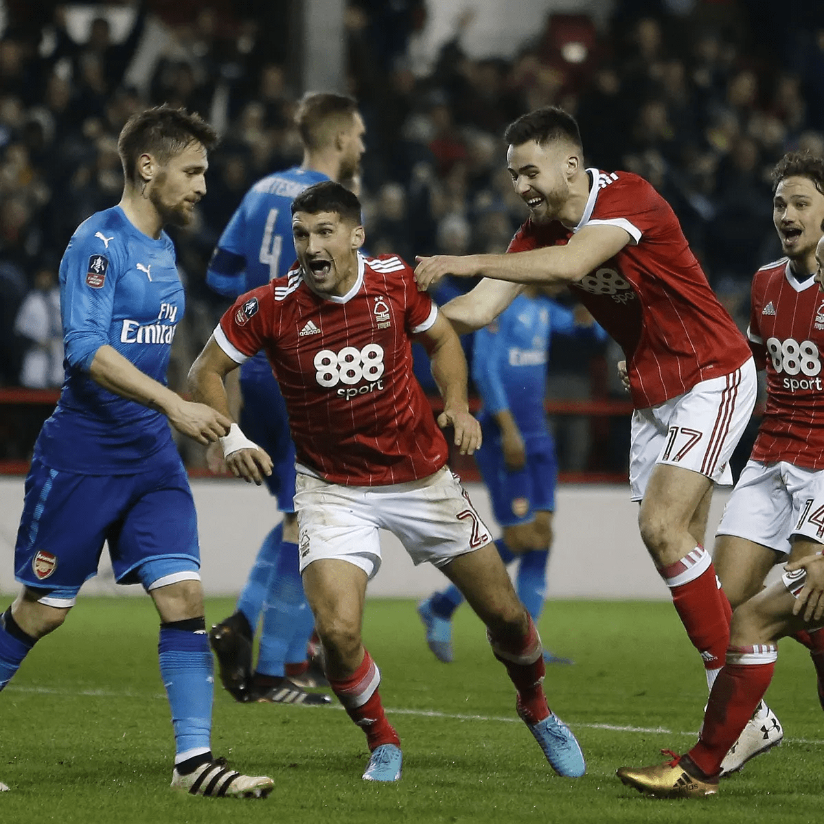 三者的有机 三者的有机